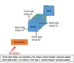 dssd_layout.jpg