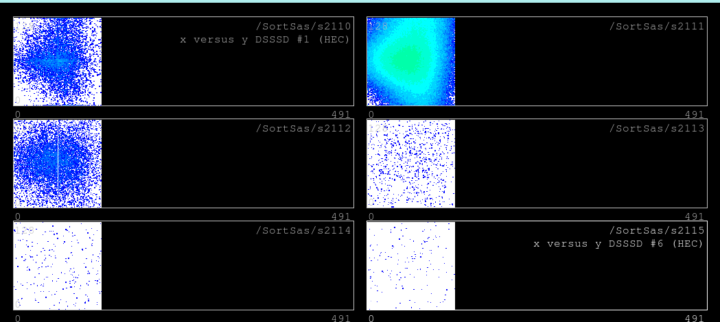 190619_8003_HEC.png