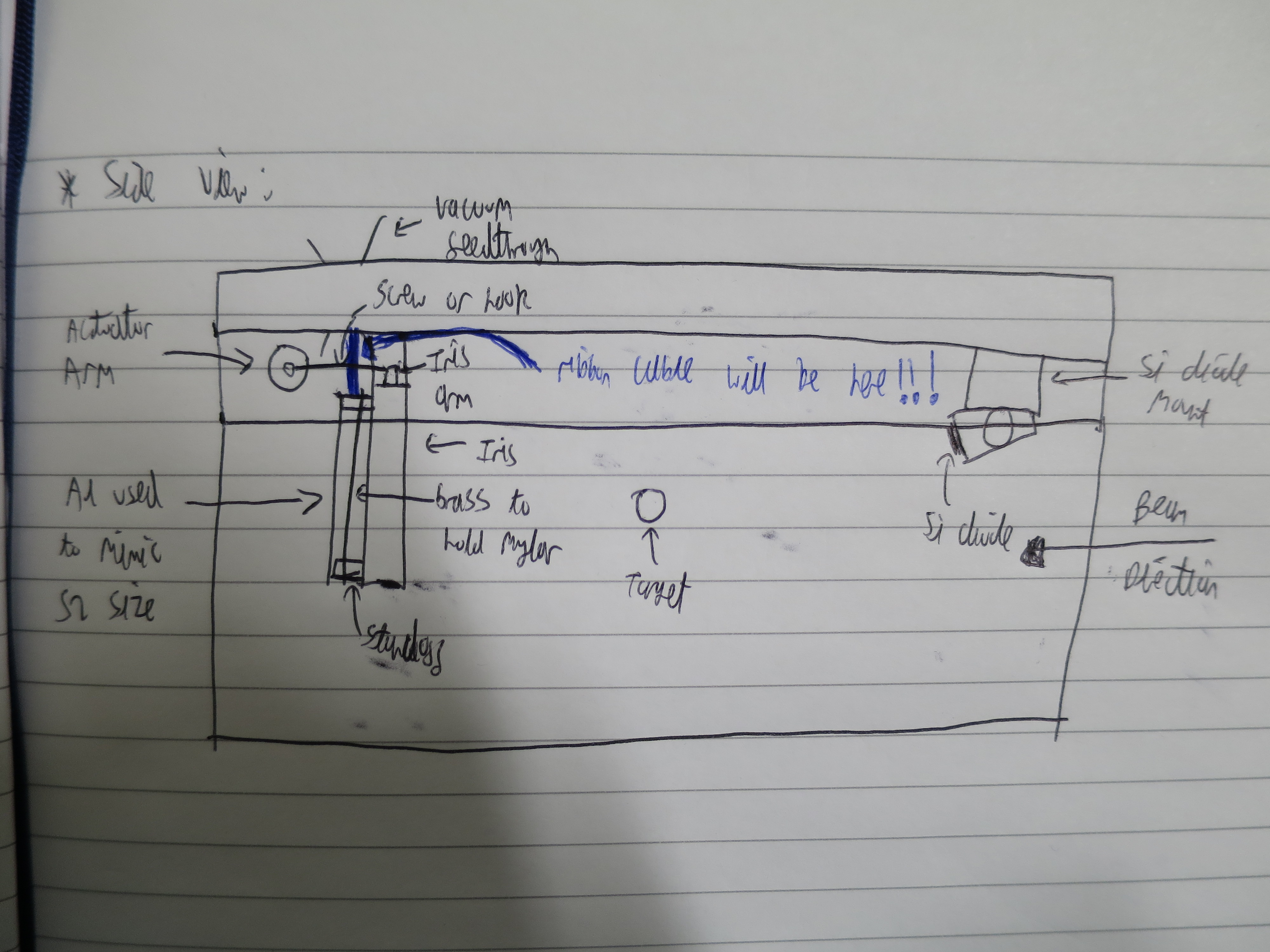 IrisArmProblemSketch.JPG