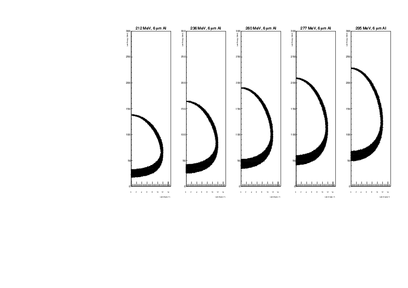 degrader06_12C_full.pdf